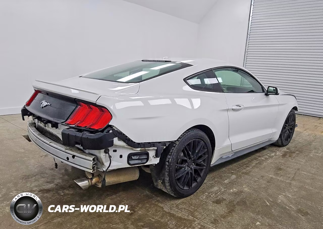2019 Ford Mustang VIN:1FA6P8TH4K5162134 - 3