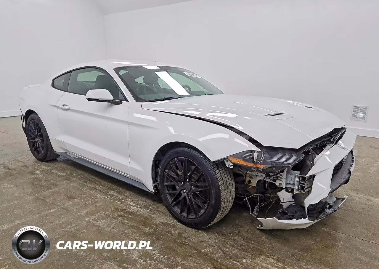 2019 Ford Mustang VIN:1FA6P8TH4K5162134 - 4