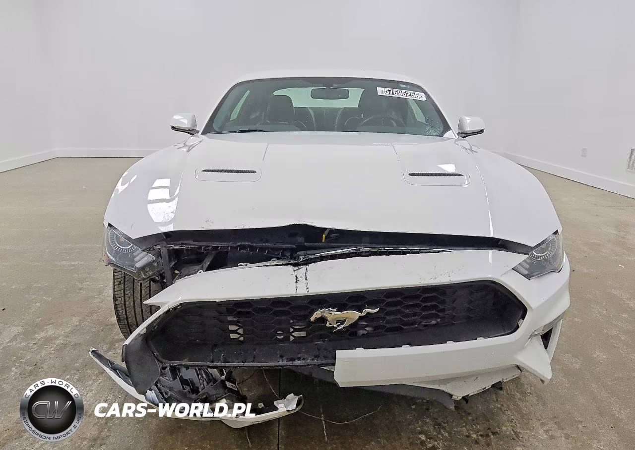 2019 Ford Mustang VIN:1FA6P8TH4K5162134 - 5