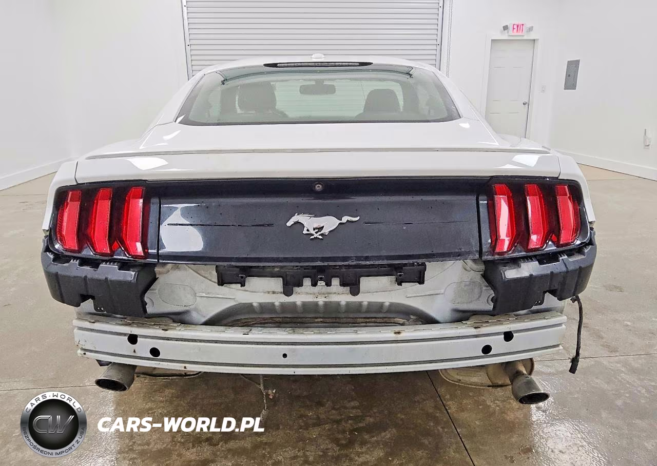 2019 Ford Mustang VIN:1FA6P8TH4K5162134 - 6