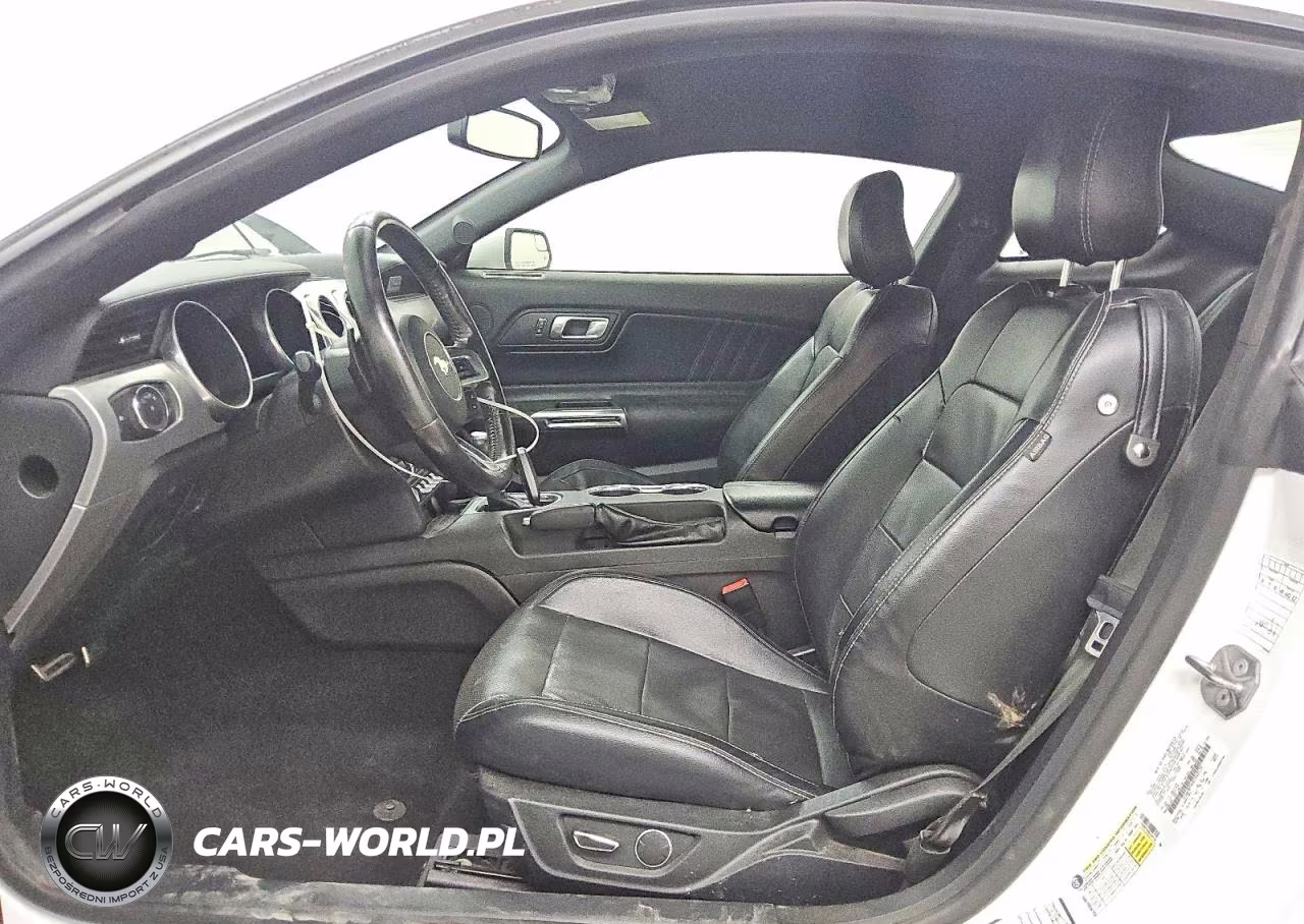 2019 Ford Mustang VIN:1FA6P8TH4K5162134 - 7