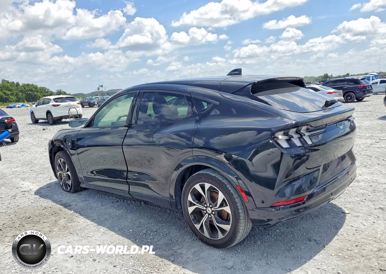 2023 Ford Mustang Mach-E Premium VIN:3FMTK3SU3PMA85301 - 2
