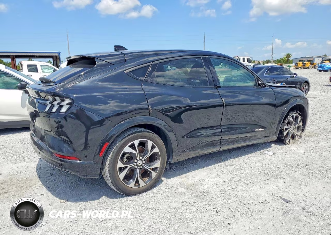 2023 Ford Mustang Mach-E Premium VIN:3FMTK3SU3PMA85301 - 3