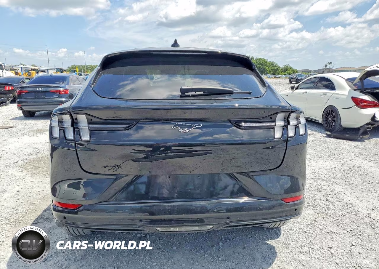 2023 Ford Mustang Mach-E Premium VIN:3FMTK3SU3PMA85301 - 6
