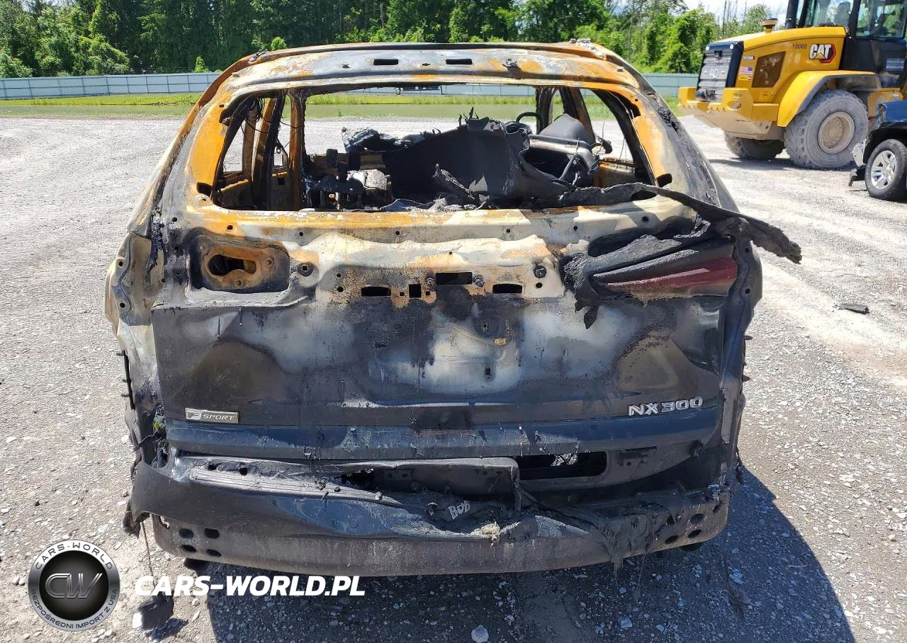2019 Lexus Nx 300 F Sport VIN:JTJYARBZXK2142702 - 6