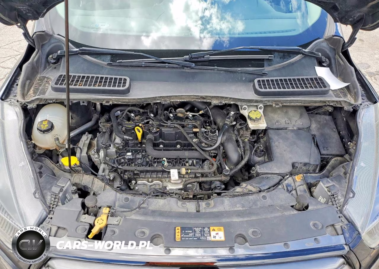2019 Ford Escape Sel VIN:1FMCU9HD3KUC47789 - 12