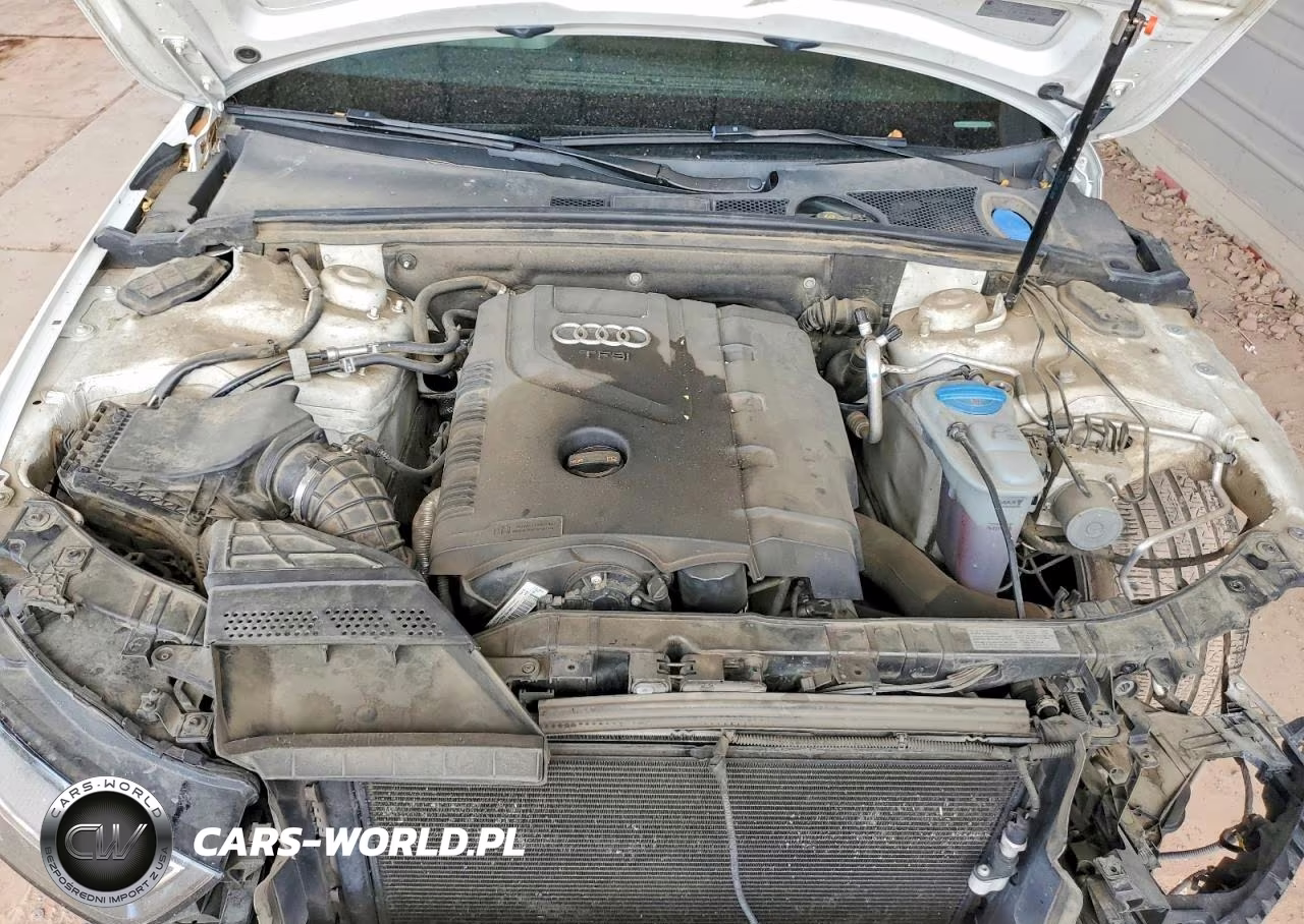 2013 Audi A4 Premium Plus VIN:WAUFFAFLXDA119719 - 11