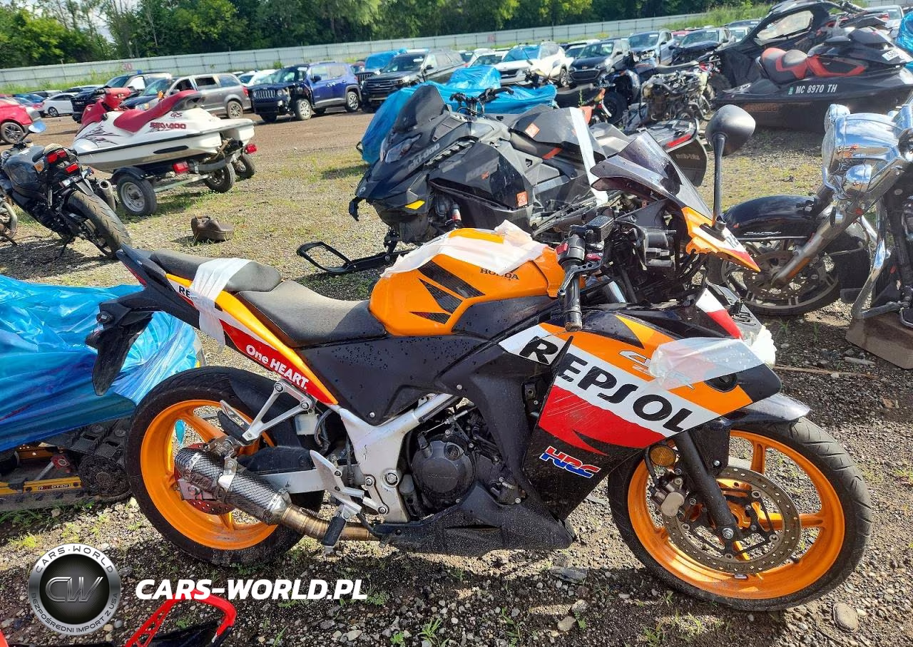 2013 Honda Cbr250 R