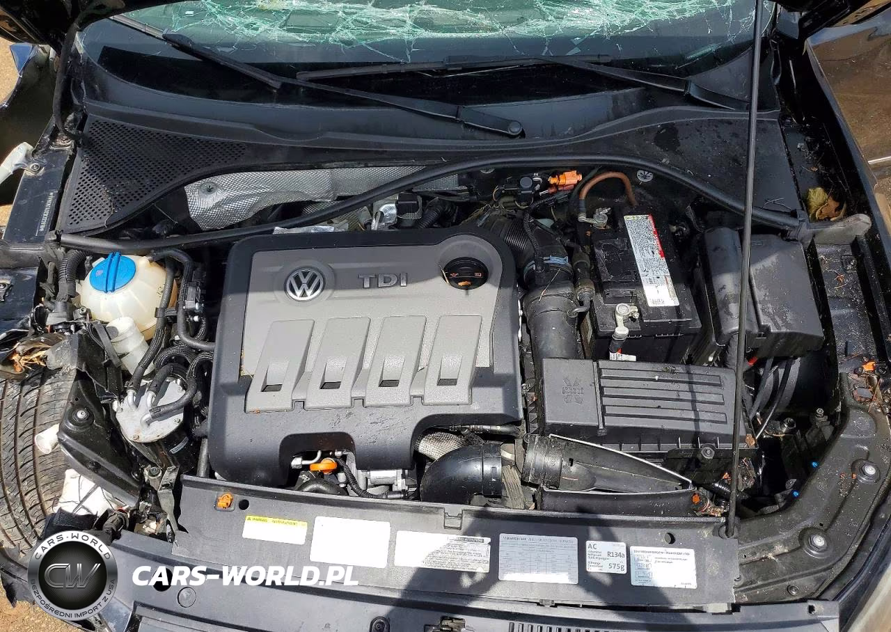 2013 Volkswagen Passat Sel VIN:1VWCN7A32DC022616 - 11