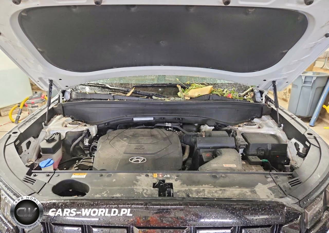2023 Hyundai Palisade Sel VIN:KM8R24GE0PU636314 - 12