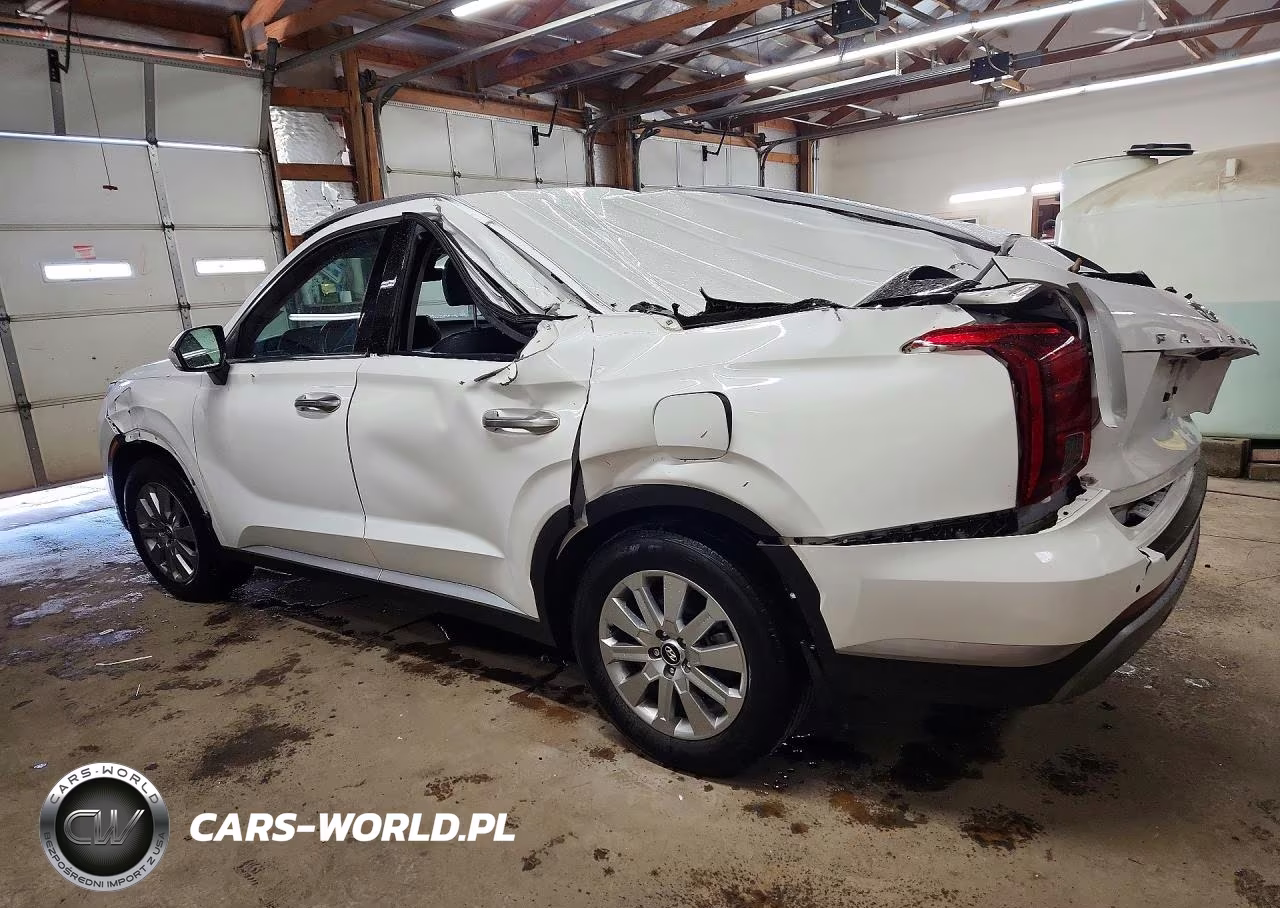 2023 Hyundai Palisade Sel VIN:KM8R24GE0PU636314 - 2