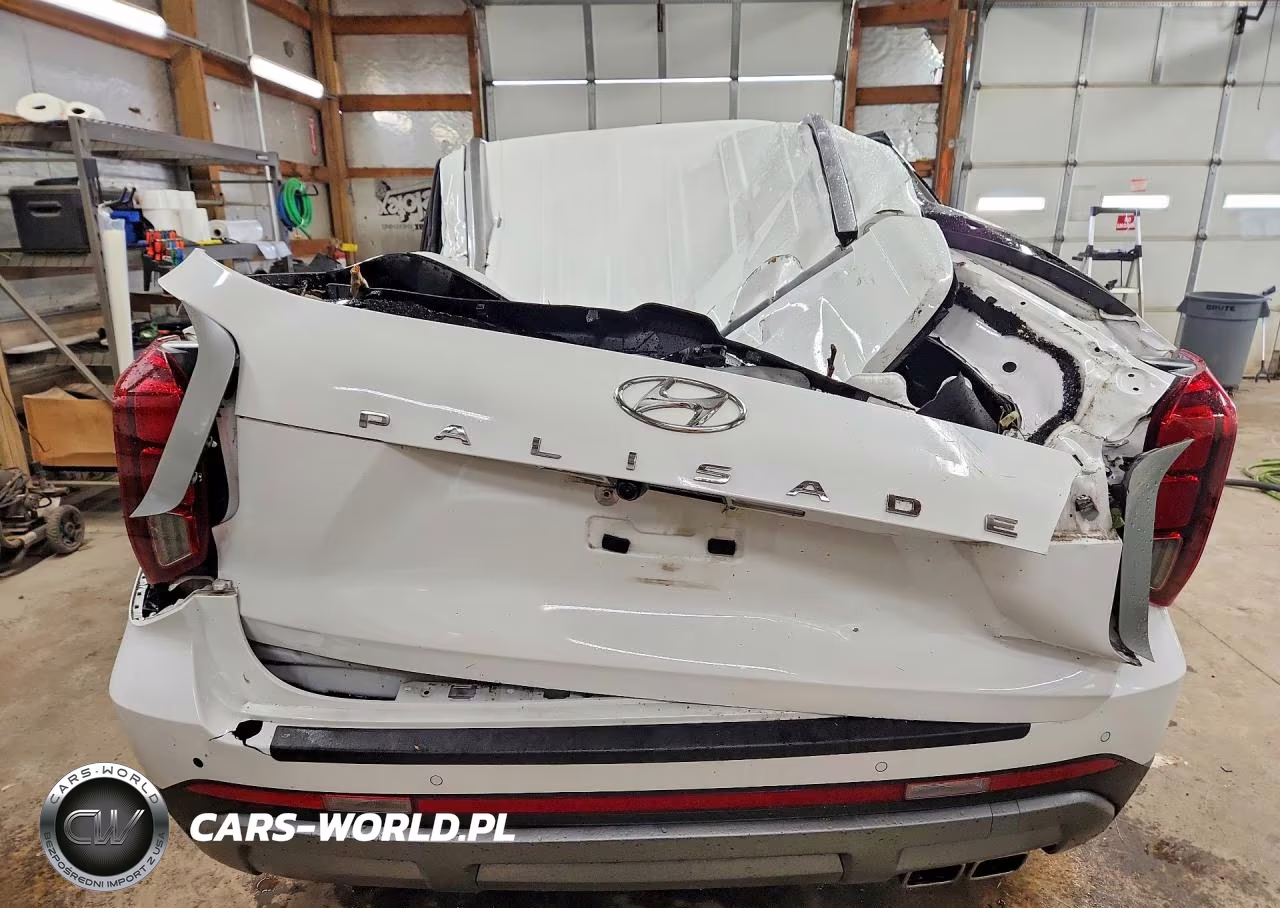 2023 Hyundai Palisade Sel VIN:KM8R24GE0PU636314 - 6