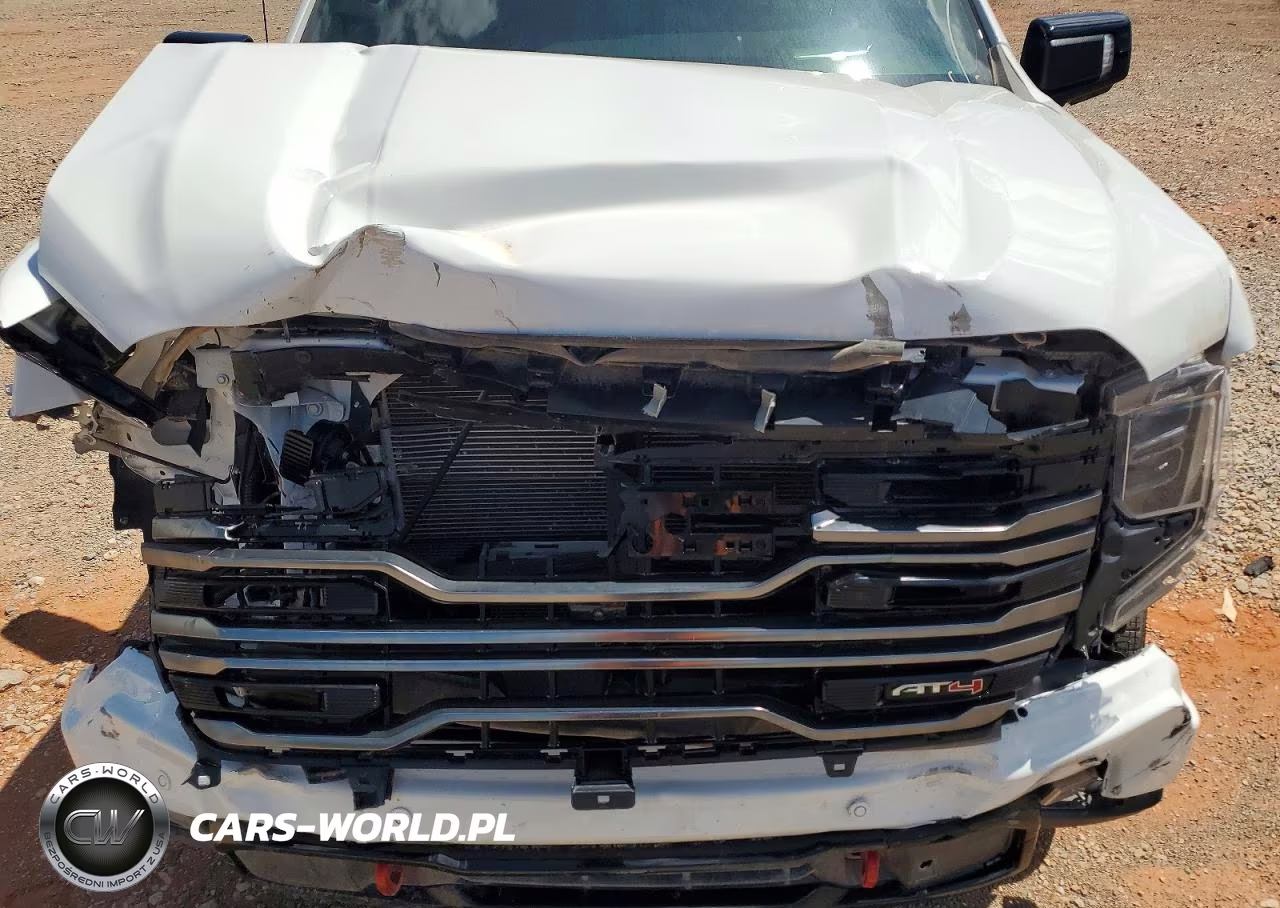 2025 GMC Sierra K1500 At4 VIN:1GTUUEE80SZ341382 - 11