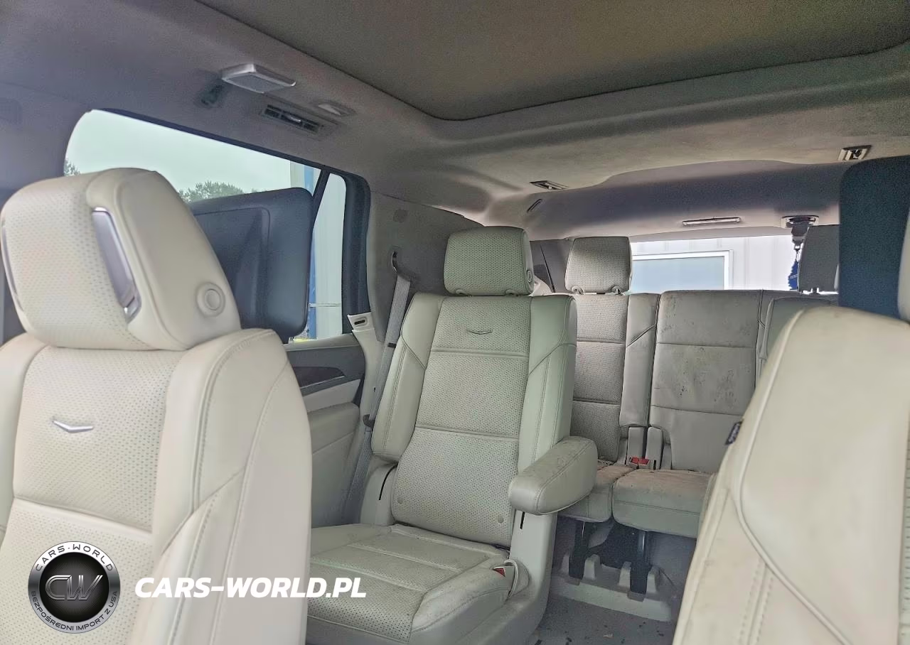 2024 Cadillac Escalade Sport Platinum VIN:1GYS4GKL7RR419415 - 10