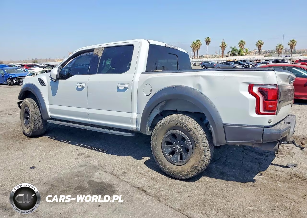 2017 Ford F150 Raptor VIN:1FTFW1RG0HFC90294 - 2