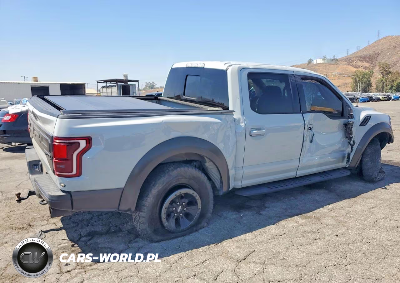 2017 Ford F150 Raptor VIN:1FTFW1RG0HFC90294 - 3