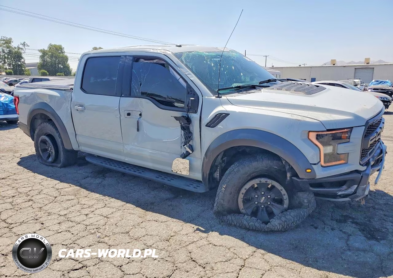 2017 Ford F150 Raptor VIN:1FTFW1RG0HFC90294 - 4