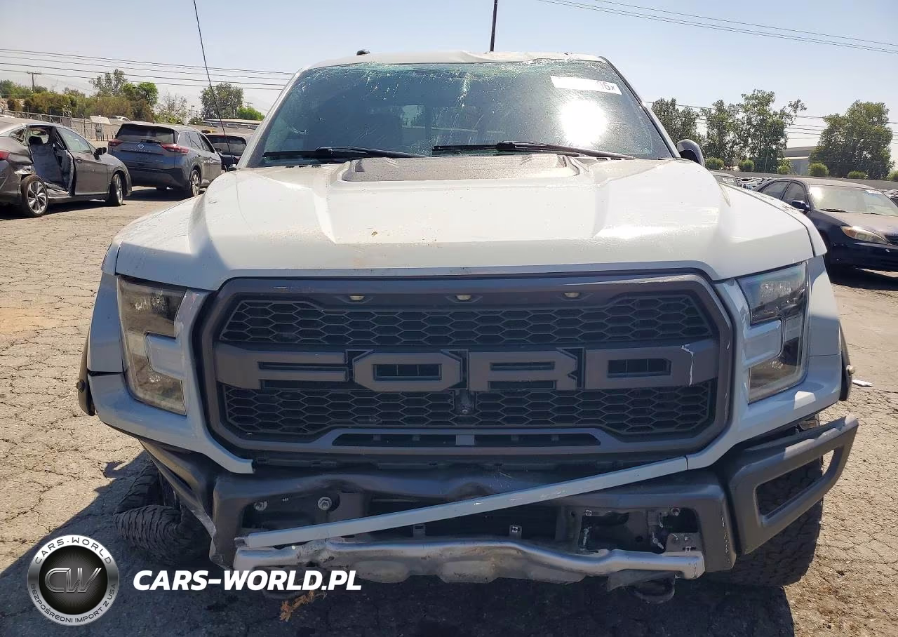2017 Ford F150 Raptor VIN:1FTFW1RG0HFC90294 - 5