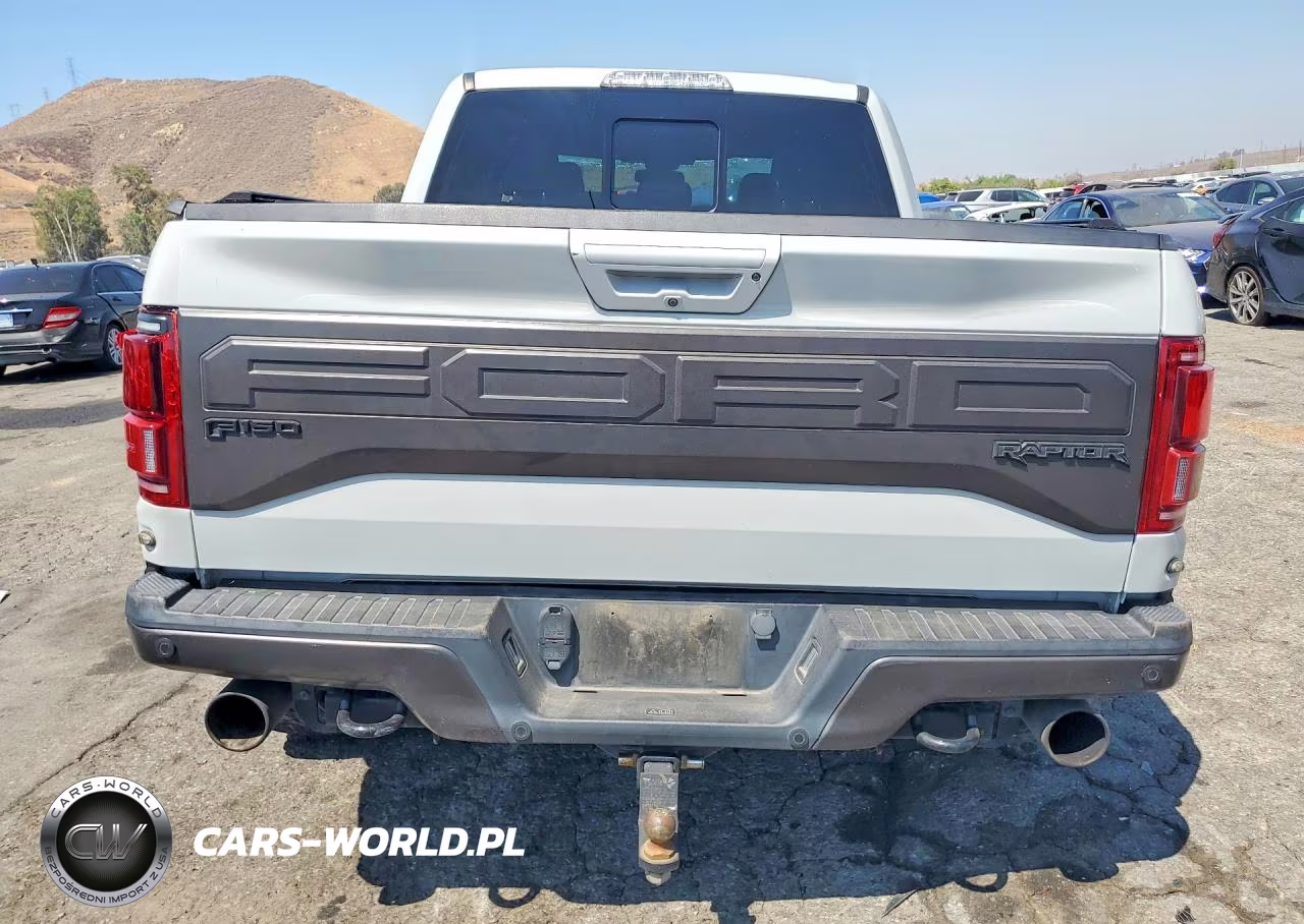 2017 Ford F150 Raptor VIN:1FTFW1RG0HFC90294 - 6