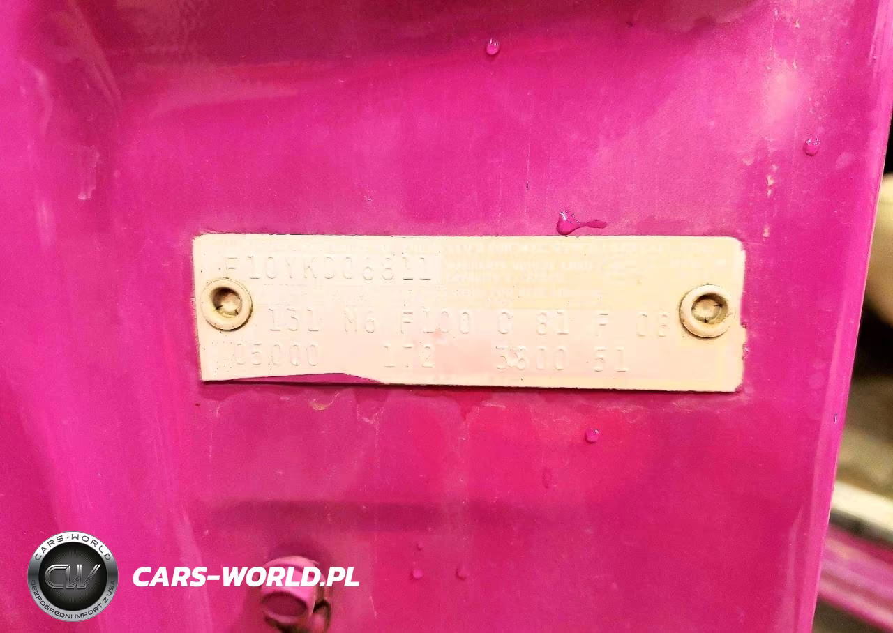 1968 Ford F100 VIN:F10YKD06811 - 13