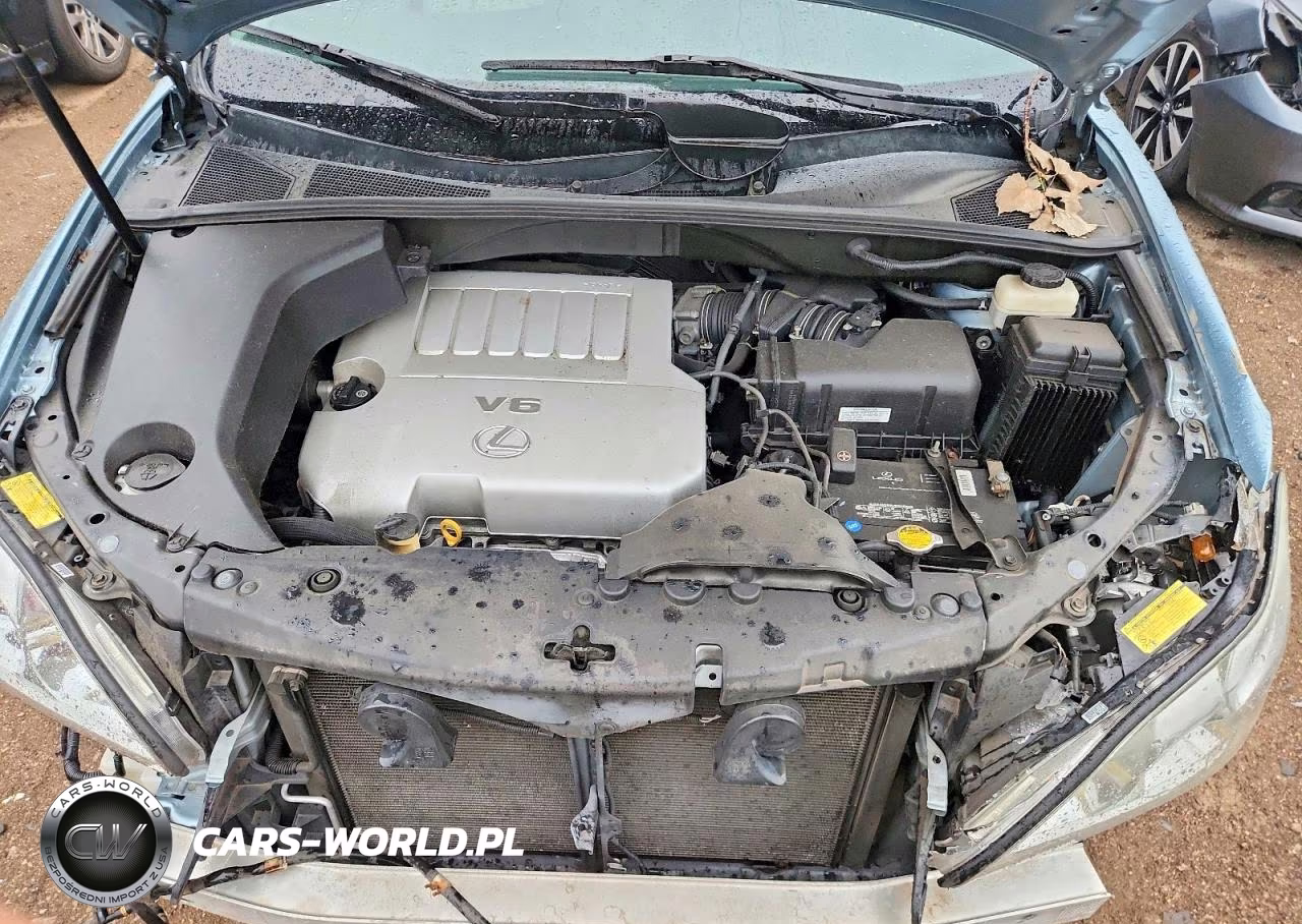 2007 Lexus Rx 350 VIN:2T2HK31U67C023763 - 11