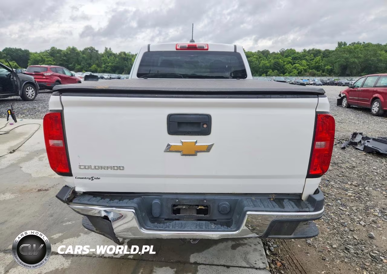 2020 Chevrolet Colorado VIN:1GCHSBEA8L1216297 - 6