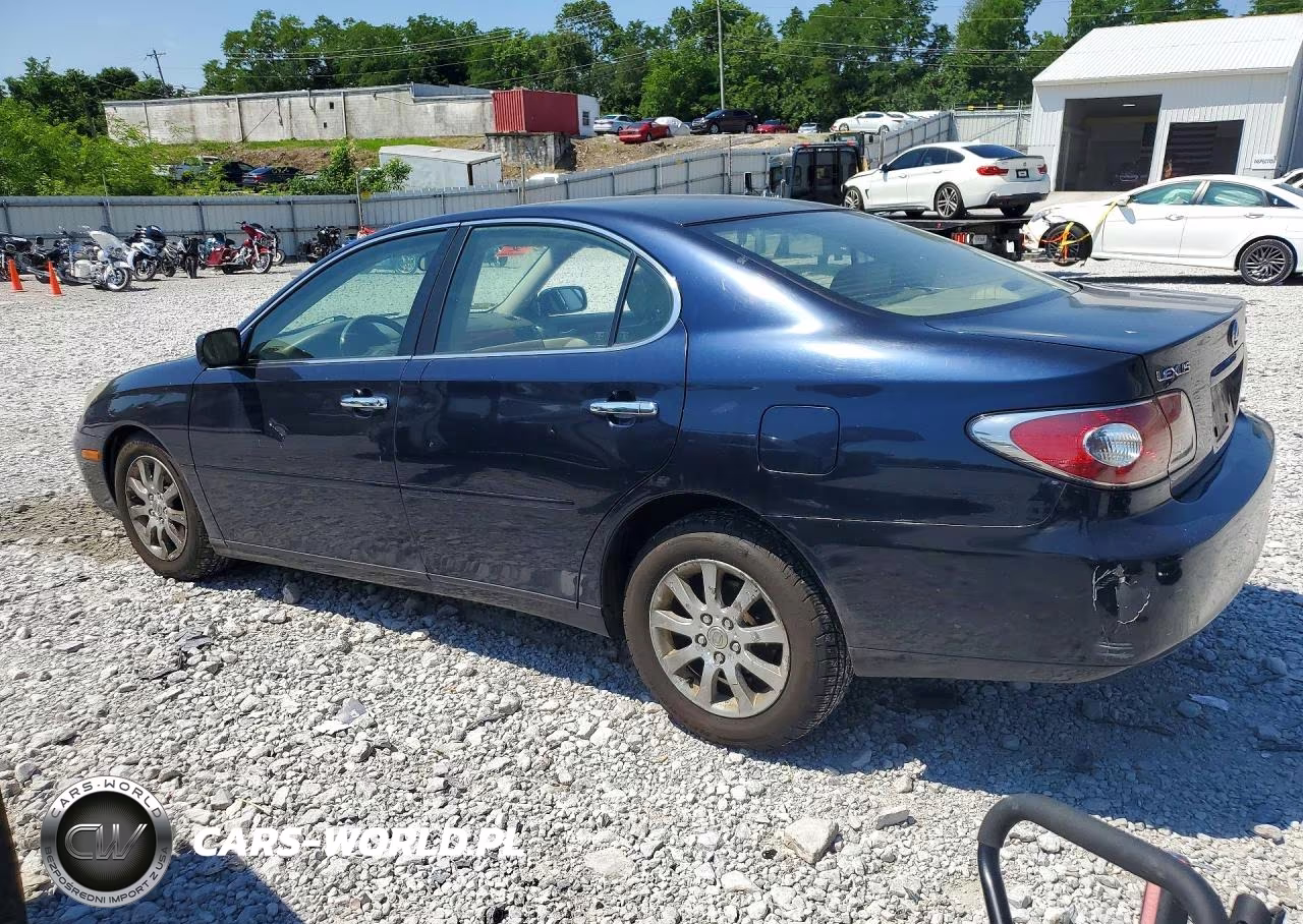2003 Lexus Es 300 VIN:JTHBF30G330112901 - 2