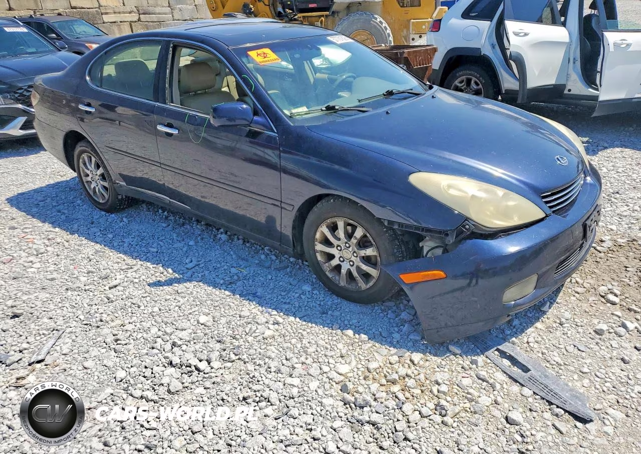 2003 Lexus Es 300 VIN:JTHBF30G330112901 - 4