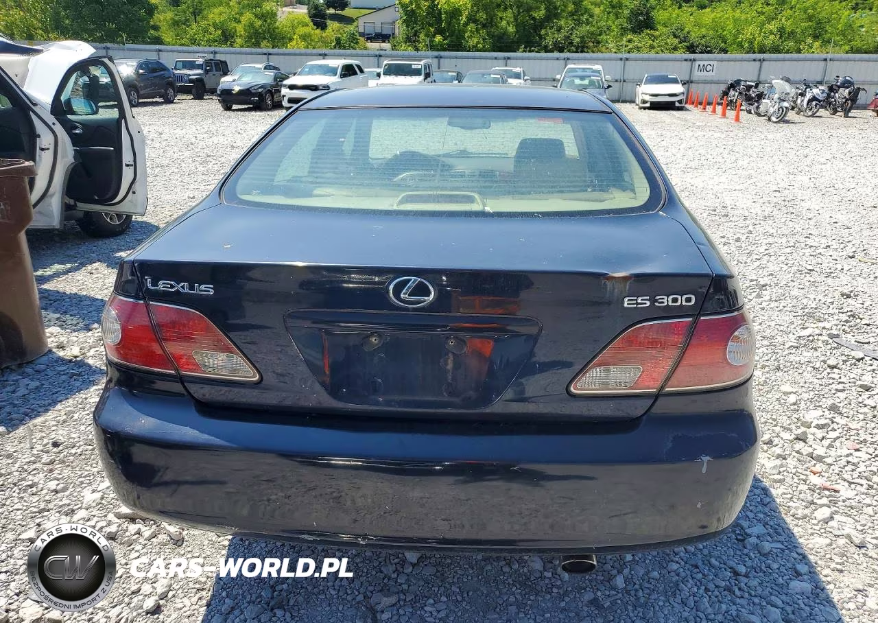 2003 Lexus Es 300 VIN:JTHBF30G330112901 - 6