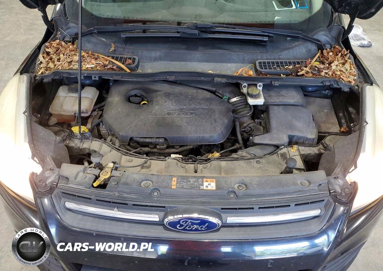 2015 Ford Escape Se VIN:1FMCU9GX2FUA13533 - 12