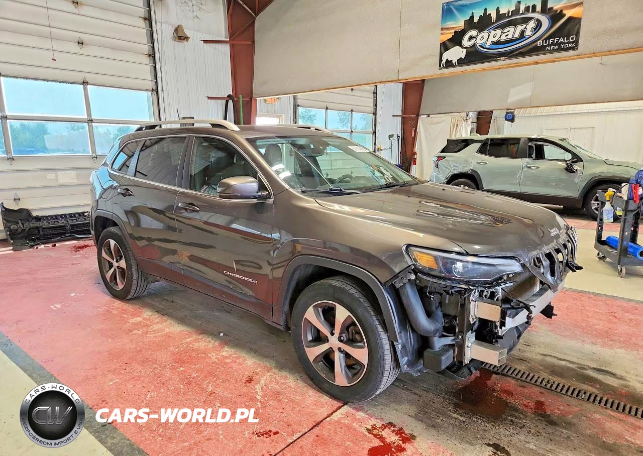 2019 Jeep Cherokee Limited VIN:1C4PJMDX1KD408836 - 4
