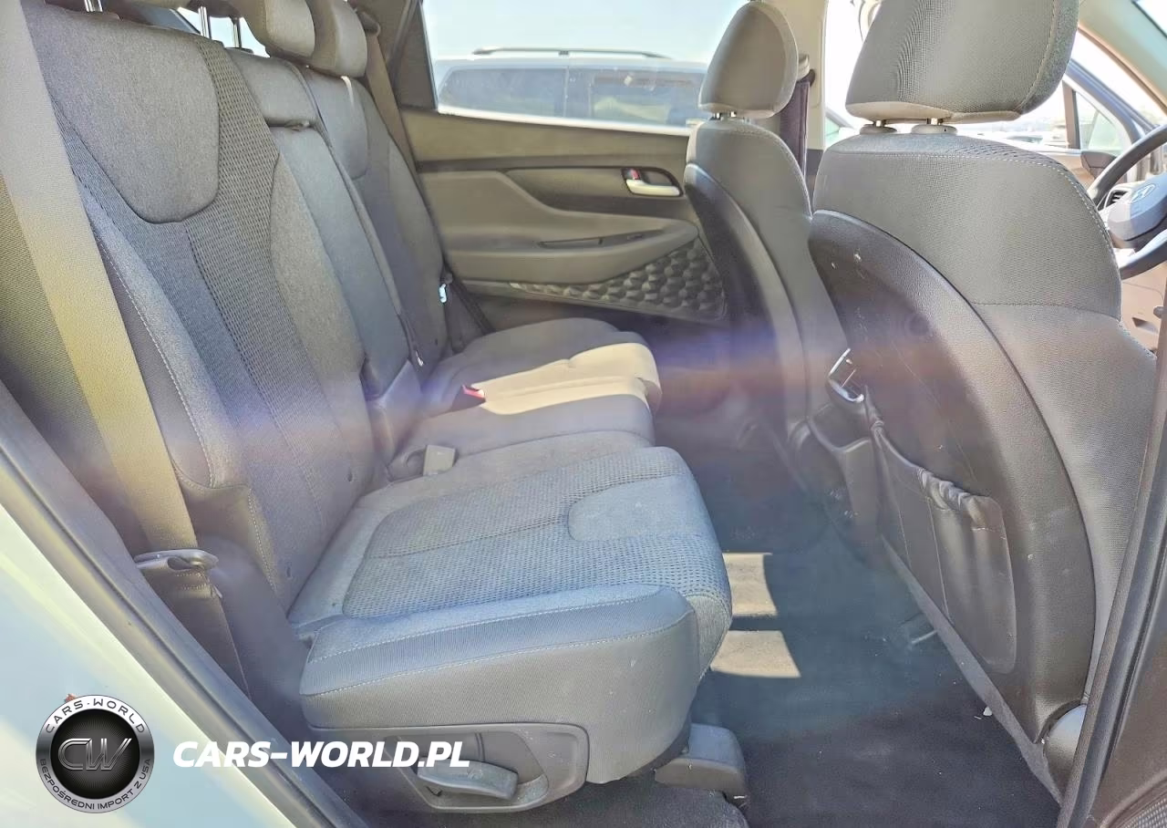 2019 Hyundai Santa Fe Sel 2.4L VIN:5NMS3CADXKH018107 - 10