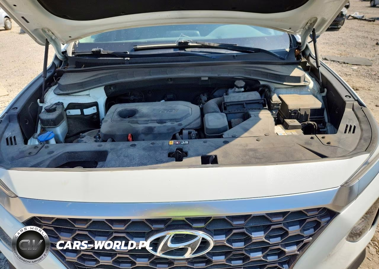 2019 Hyundai Santa Fe Sel 2.4L VIN:5NMS3CADXKH018107 - 11