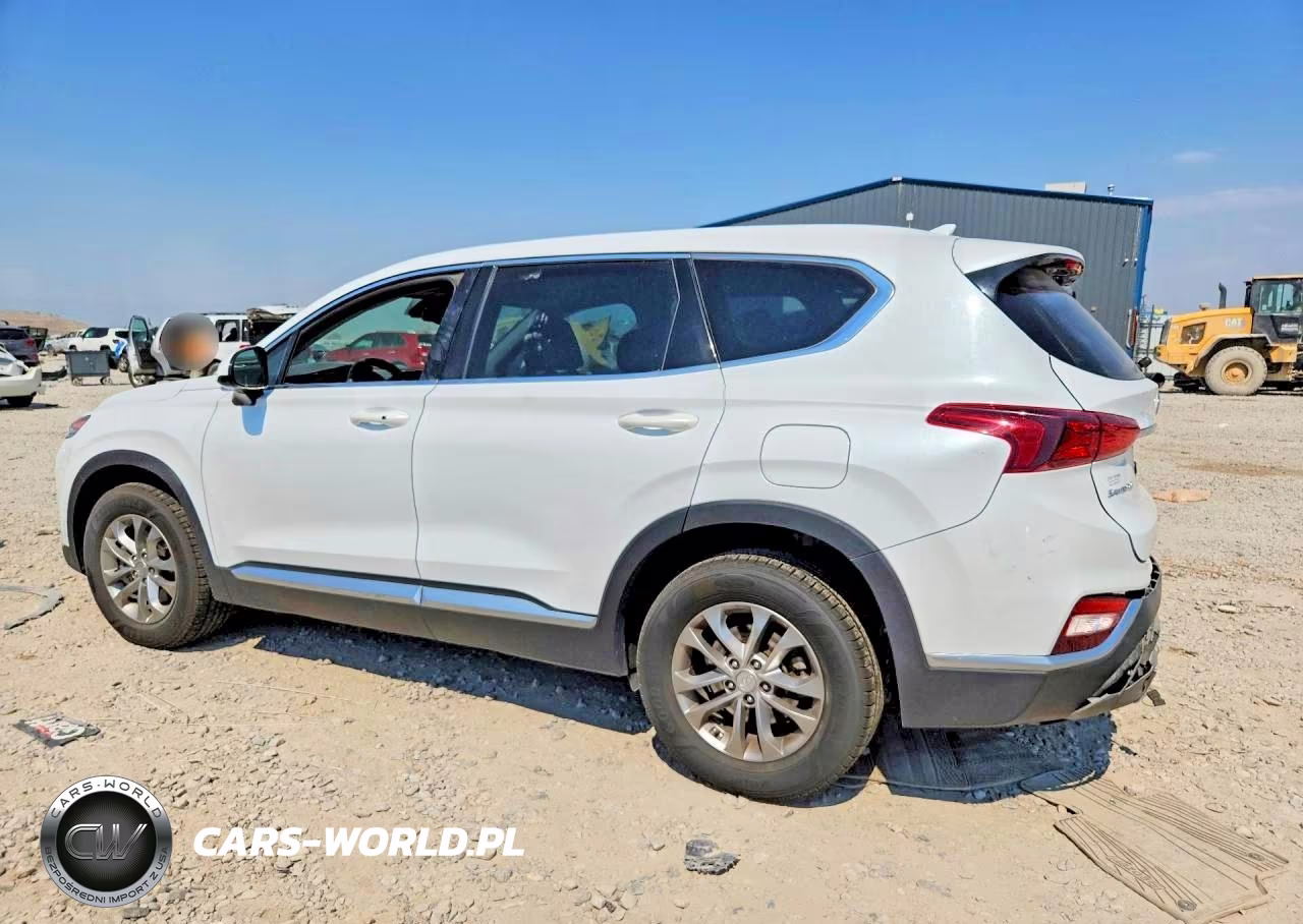 2019 Hyundai Santa Fe Sel 2.4L VIN:5NMS3CADXKH018107 - 2