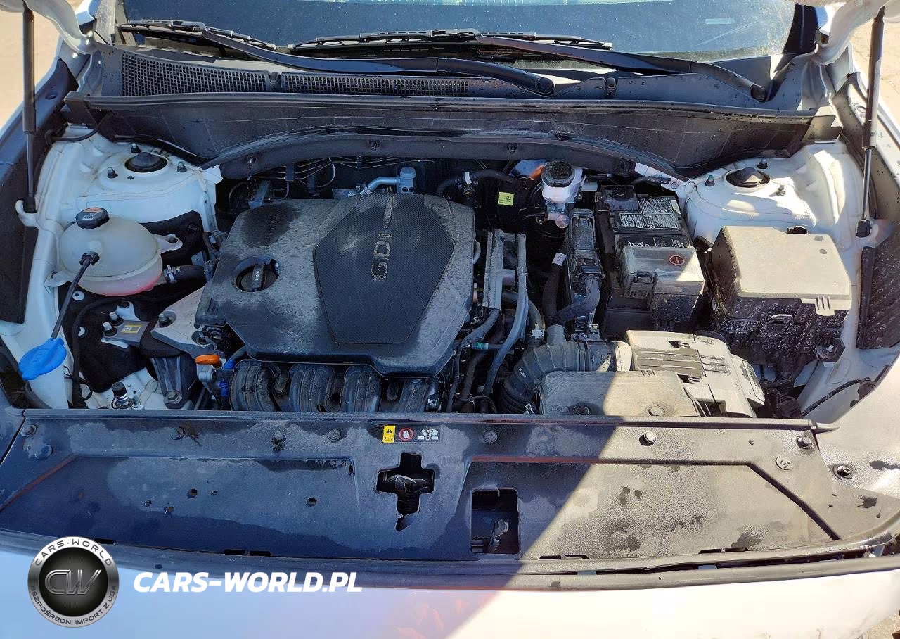 2021 Hyundai Santa Fe Sel VIN:5NMS3DAJ3MH312947 - 12