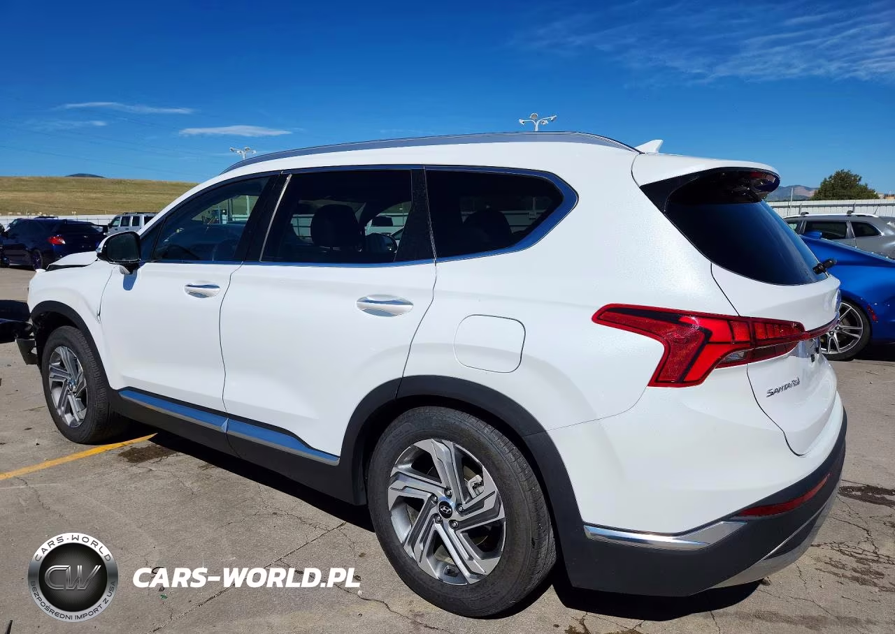 2021 Hyundai Santa Fe Sel VIN:5NMS3DAJ3MH312947 - 2