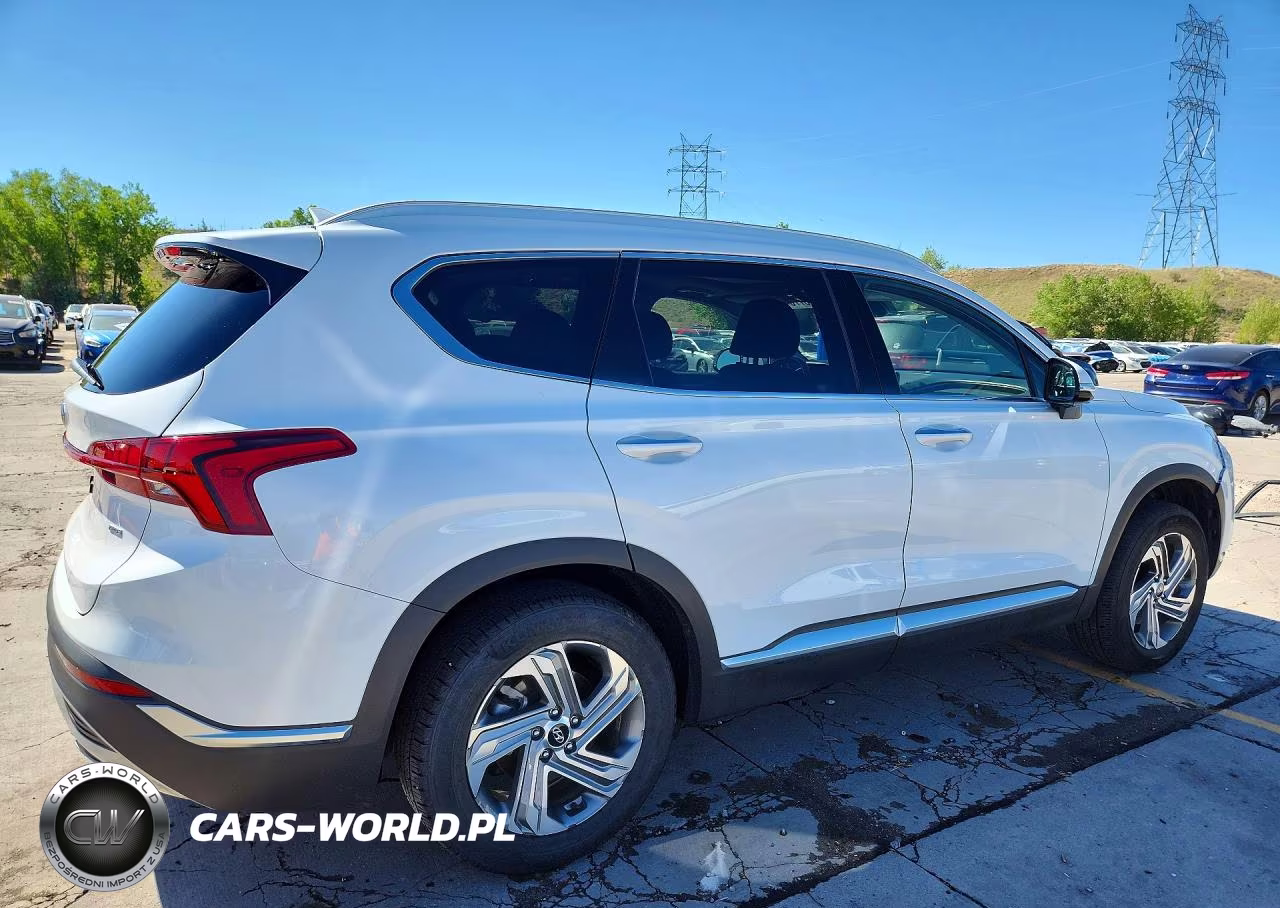2021 Hyundai Santa Fe Sel VIN:5NMS3DAJ3MH312947 - 3