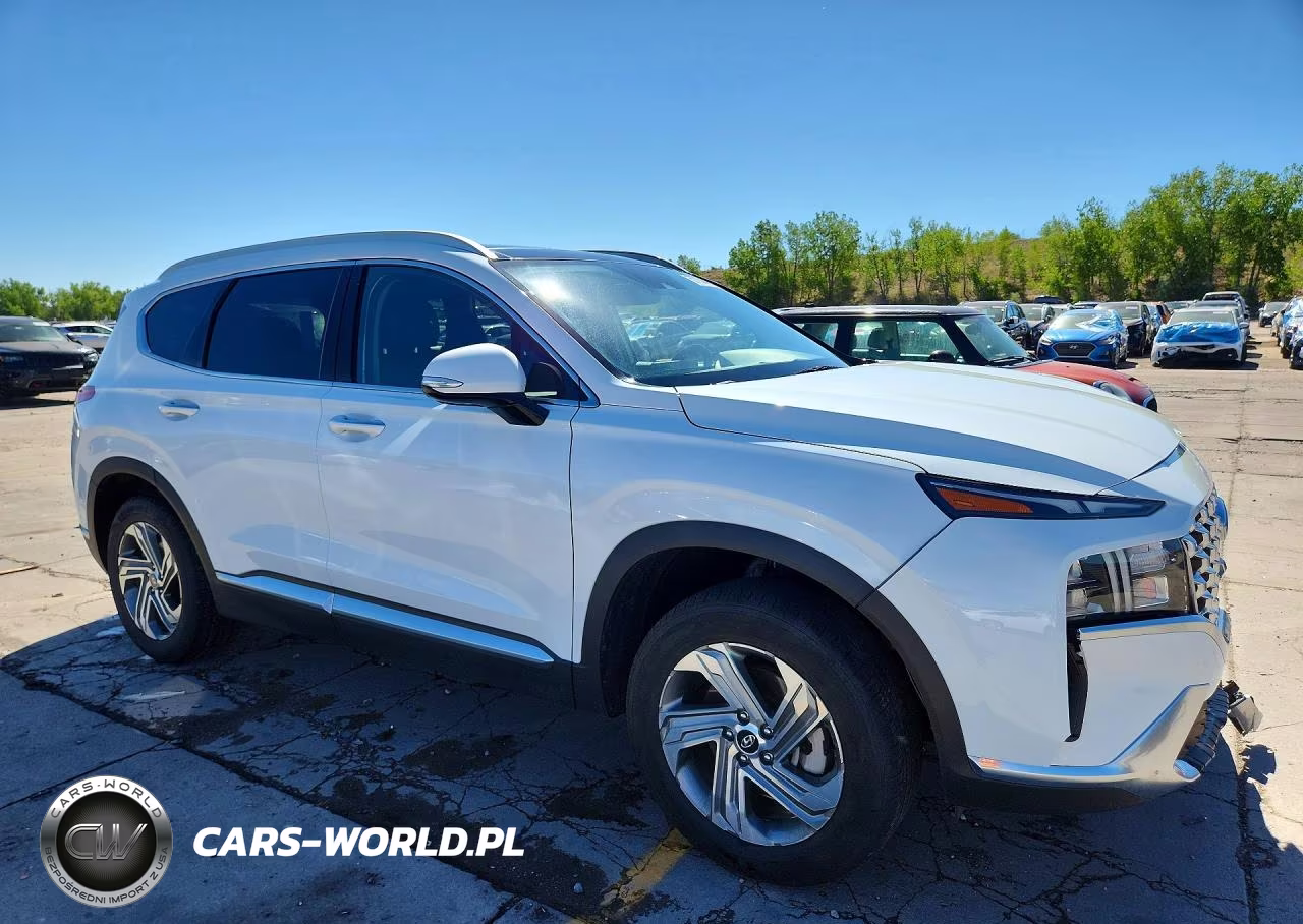 2021 Hyundai Santa Fe Sel VIN:5NMS3DAJ3MH312947 - 4