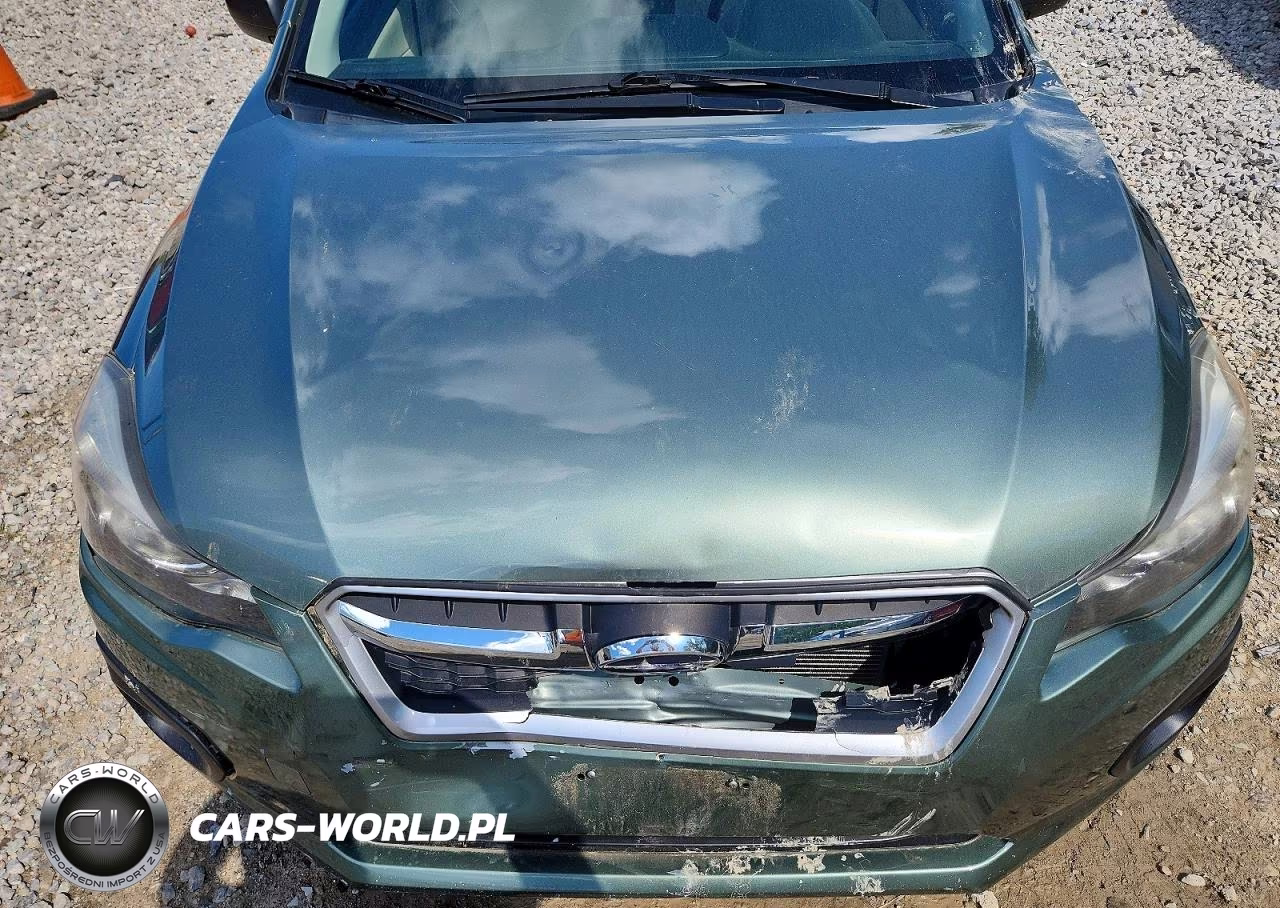 2014 Subaru Impreza VIN:JF1GPAA64E8264307 - 11
