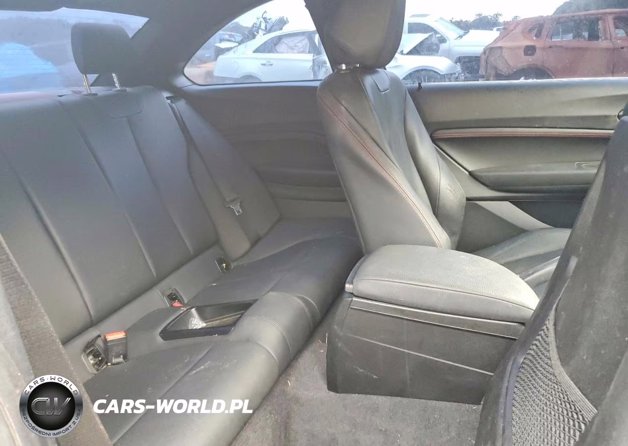 2015 BMW 228 I VIN:WBA1F5C59FV256394 - 10