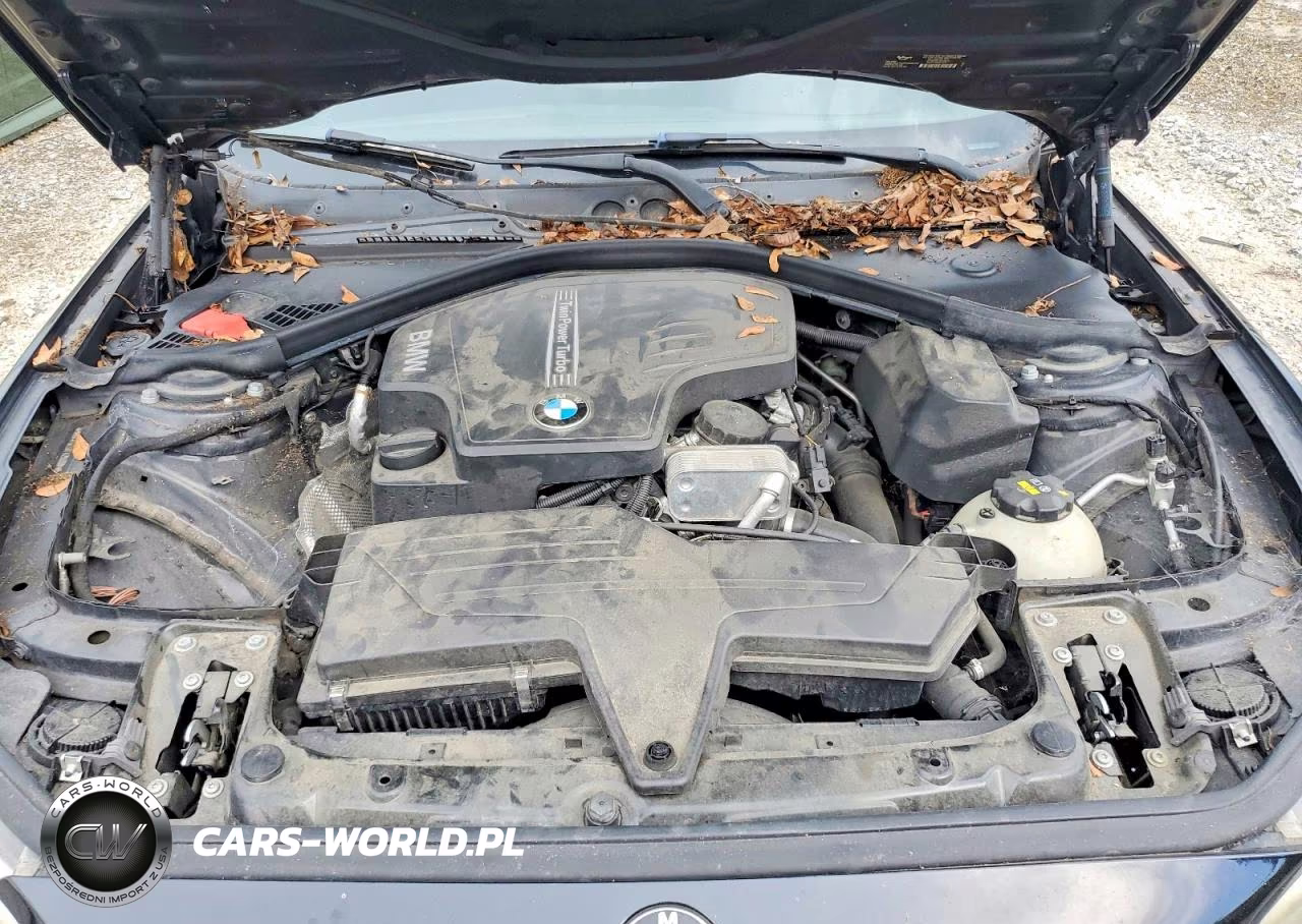 2015 BMW 228 I VIN:WBA1F5C59FV256394 - 11