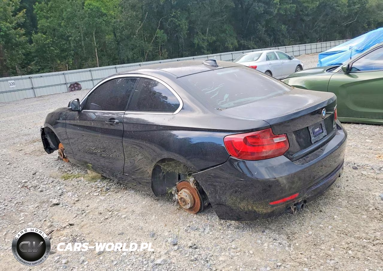 2015 BMW 228 I VIN:WBA1F5C59FV256394 - 2