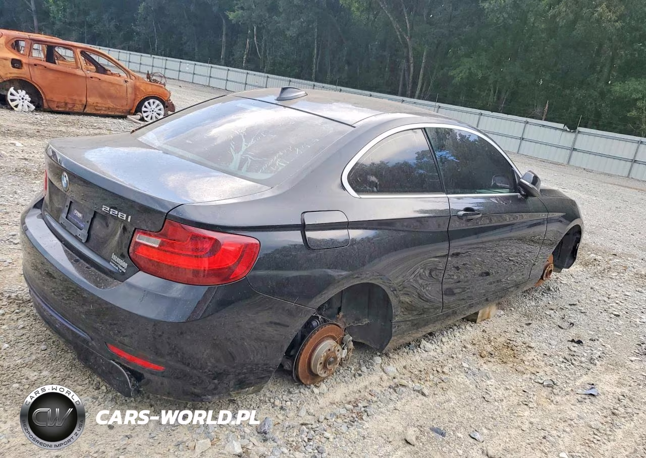 2015 BMW 228 I VIN:WBA1F5C59FV256394 - 3