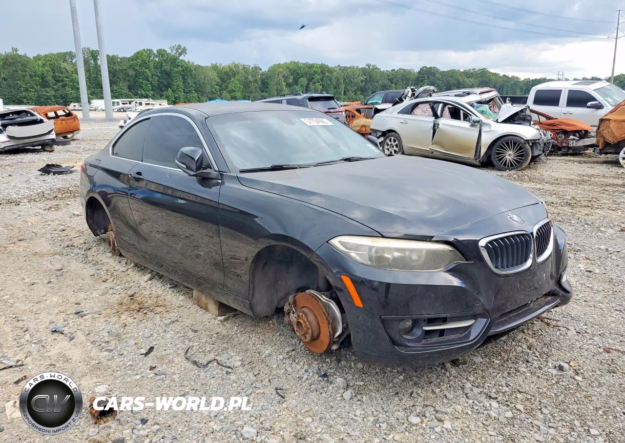 2015 BMW 228 I VIN:WBA1F5C59FV256394 - 4