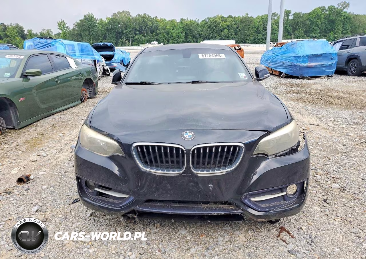 2015 BMW 228 I VIN:WBA1F5C59FV256394 - 5