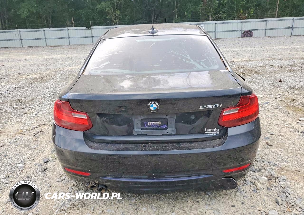 2015 BMW 228 I VIN:WBA1F5C59FV256394 - 6