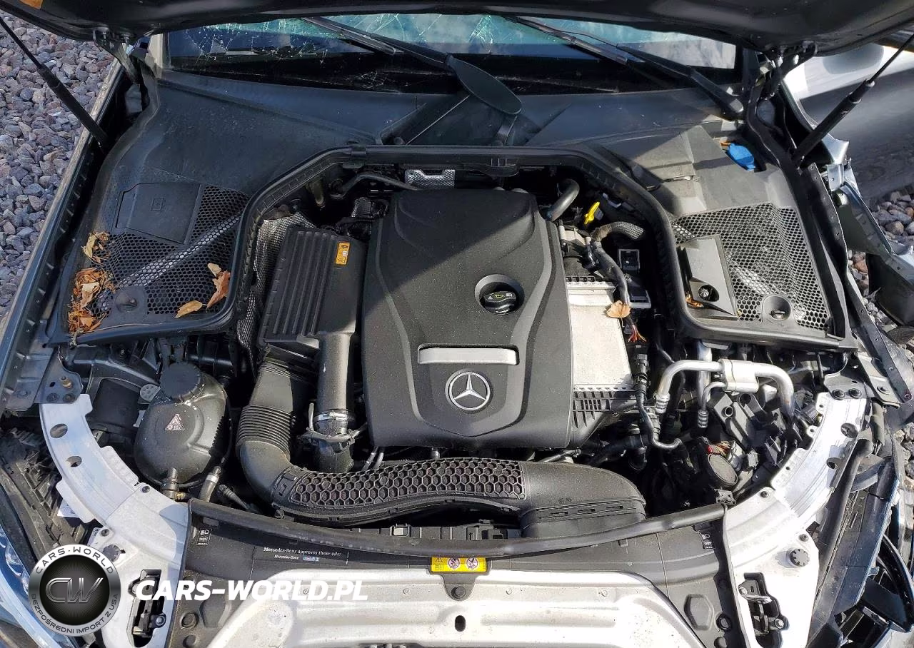 2017 Mercedes-Benz C 300 4Matic VIN:55SWF4KB5HU223273 - 11