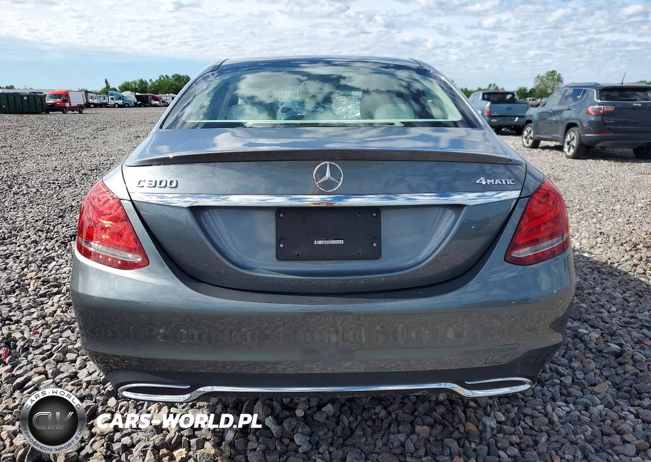 2017 Mercedes-Benz C 300 4Matic VIN:55SWF4KB5HU223273 - 6