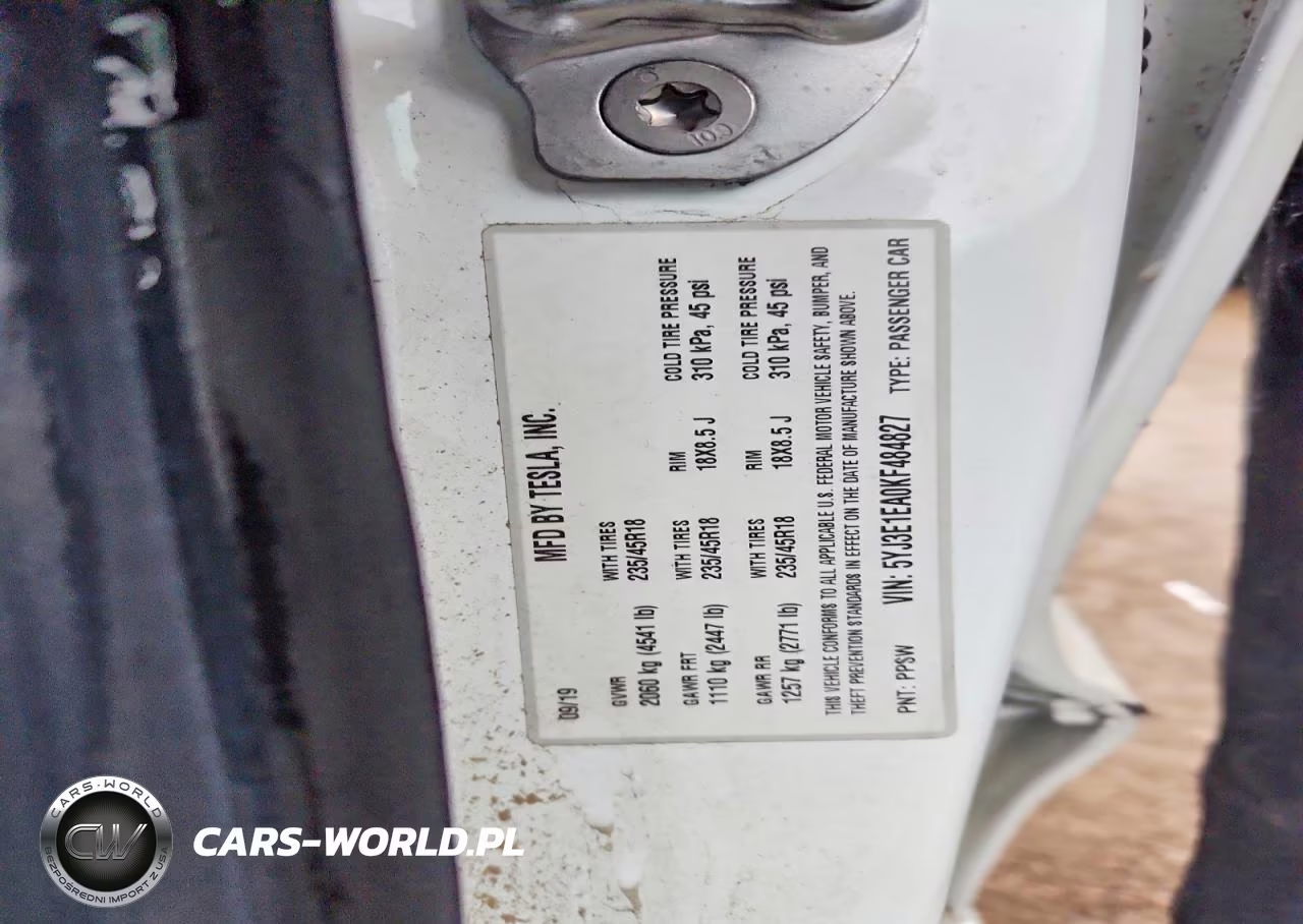 2019 Tesla Model 3 VIN:5YJ3E1EA0KF484827 - 12