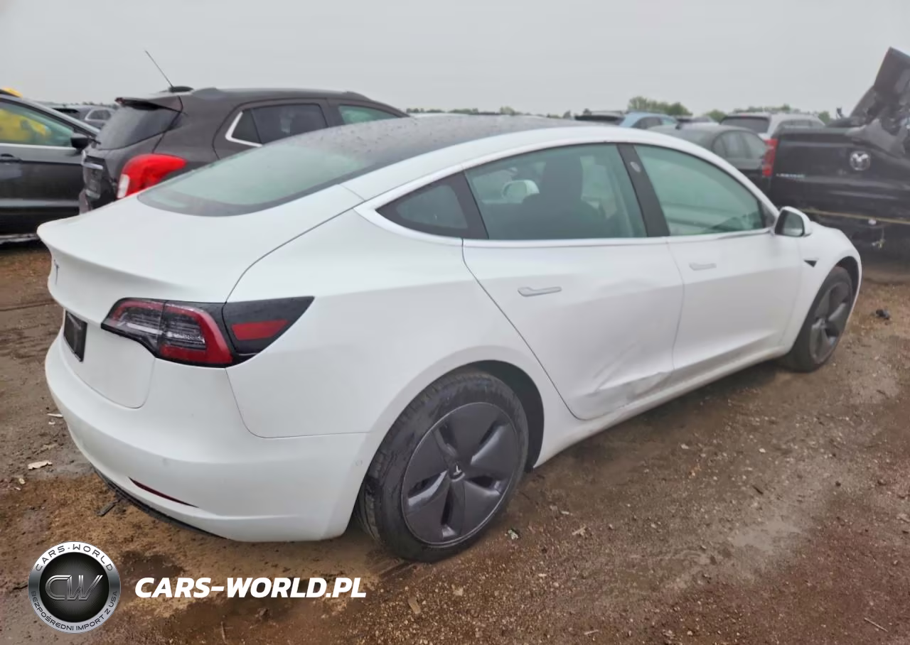 2019 Tesla Model 3 VIN:5YJ3E1EA0KF484827 - 3
